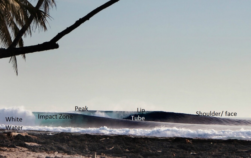 Anatomy of a Surf Wave