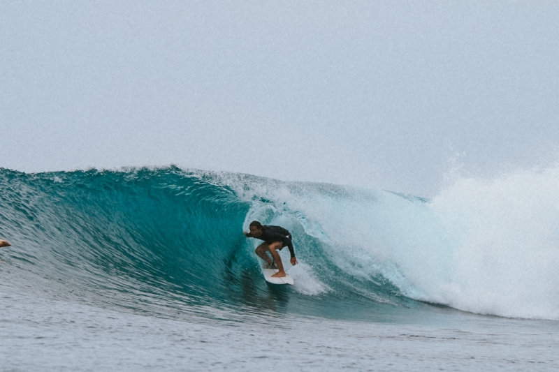 Bintangs surfing waves