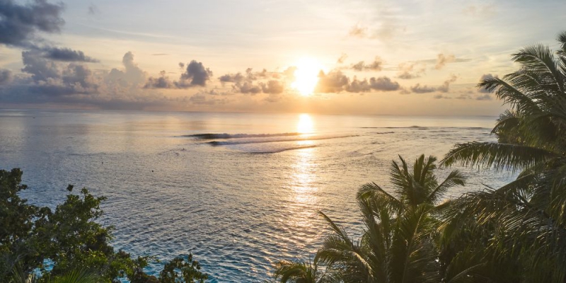 Early Morning Surfing