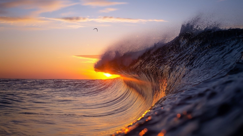 How are they different from each other in terms of waves and breaks