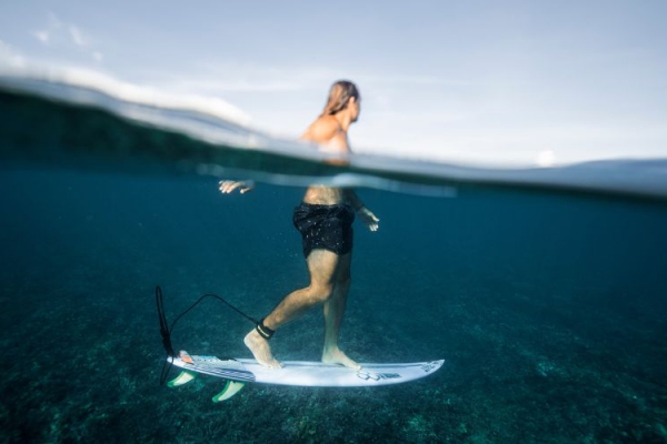 Marine Life & Surfing