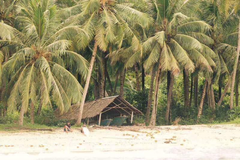 Mentawai Resort