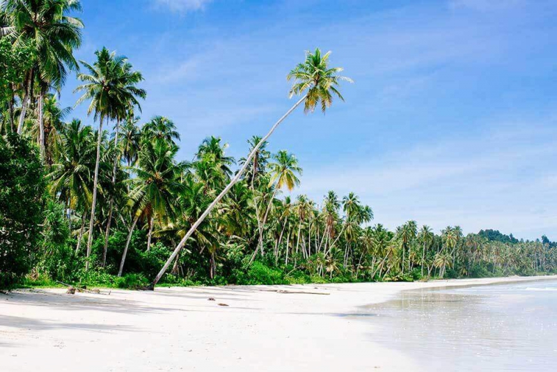 Mentawai Surf Resort