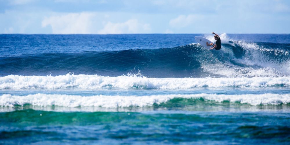 Surf Lessons