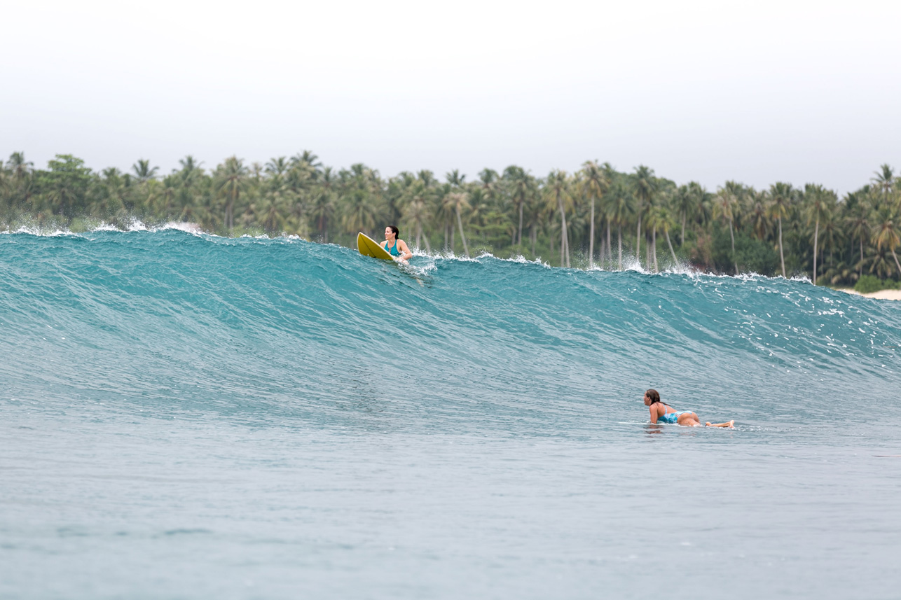 Mentawai Surf Mentawai Surf Resort